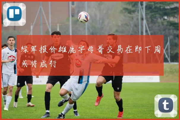 绿军报价雄鹿字母哥交易在即下周或将成行
